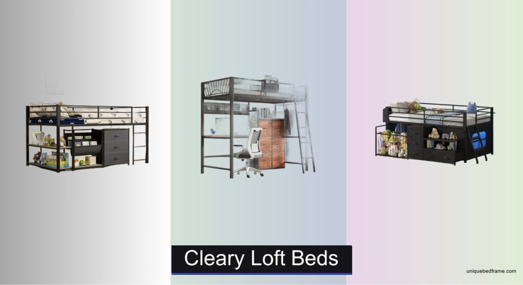 7 Best Cleary Loft Beds of 2026